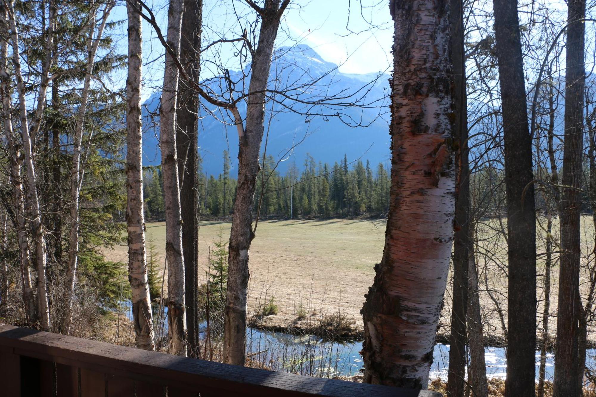 Rocky Mountain Cabins And Home Golden Exteriör bild