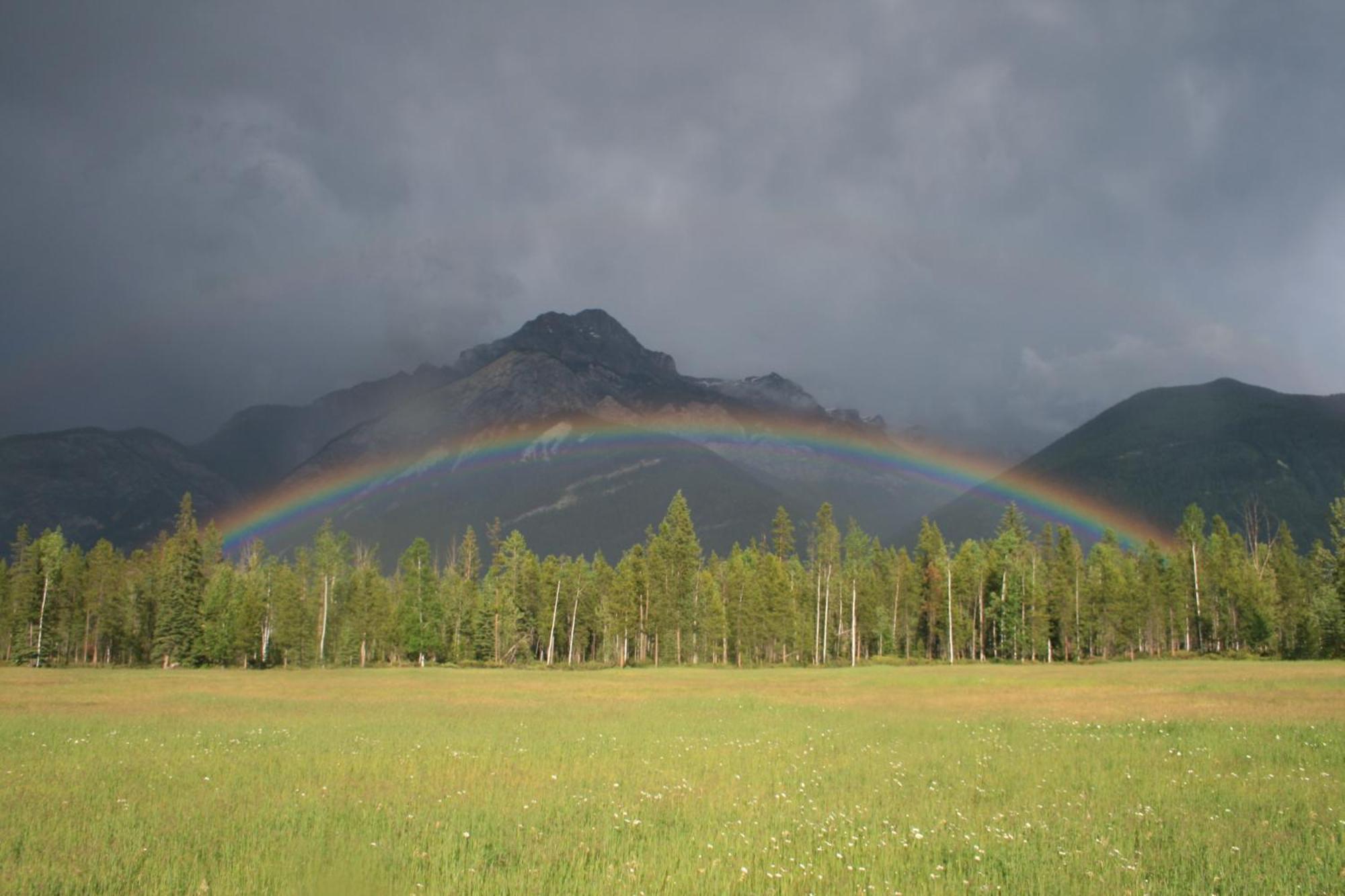 Rocky Mountain Cabins And Home Golden Exteriör bild